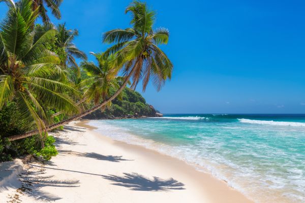 Jamaica 